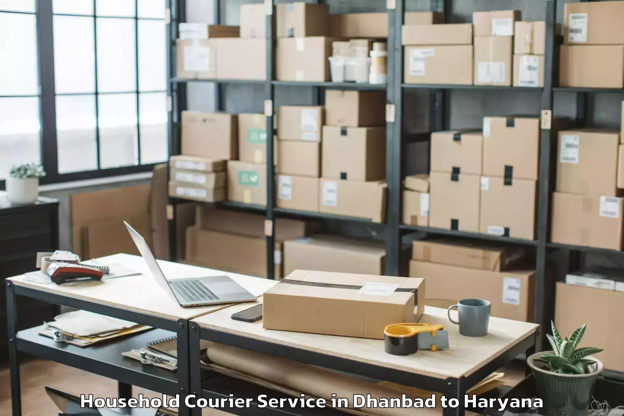 Professional Dhanbad to Pristine Mall Faridabad Household Courier